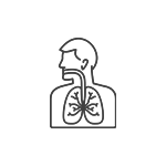 Garganta & Vias Respiratórias 